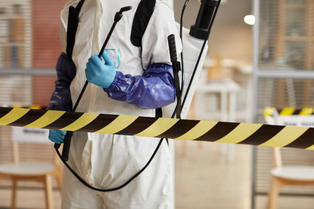 Professional Sewage Cleanup technician working in Iona, FL